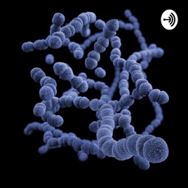 Economic Importance Of Bacteria