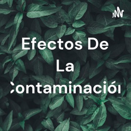 Efectos De La Contaminación