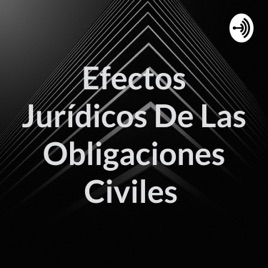 Efectos Jurídicos De Las Obligaciones Civiles