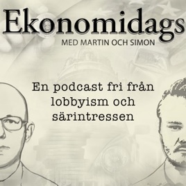 Ekonomidags