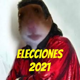 Elecciones 2021