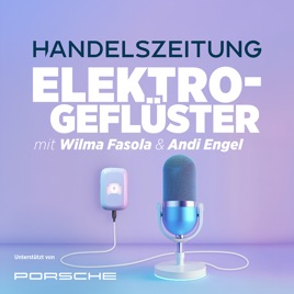 Elektrogeflüster – E-Mobilität im Realitätscheck