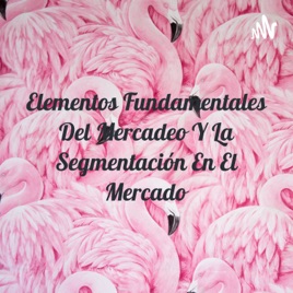 Elementos Fundamentales Del Mercadeo Y La Segmentación En El Mercado