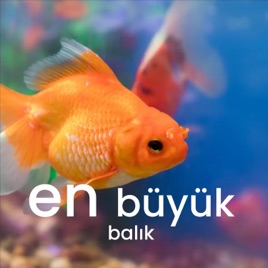En Büyük Balık