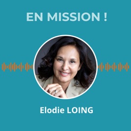 En mission ! Les chroniques du management de transition