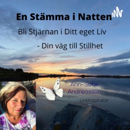 En Stämma i Natten - vägen till Stillhet
