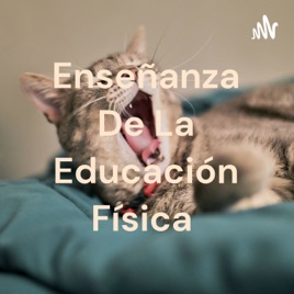 Enseñanza De La Educación Física