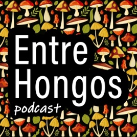 Entre Hongos