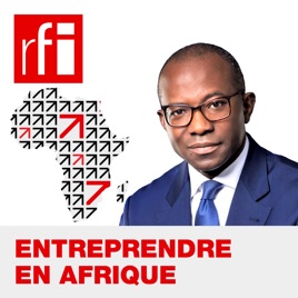 Entreprendre en Afrique: les conseils de Didier Acouetey