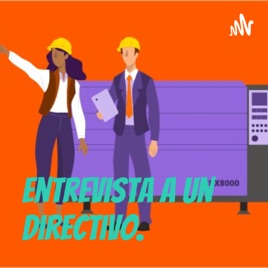 Entrevista a un Directivo.