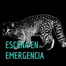 ESCENA EN EMERGENCIA