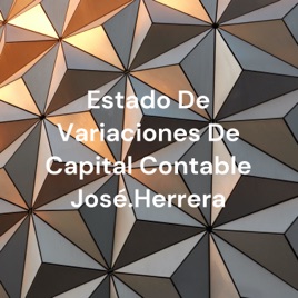 Estado De Variaciones De Capital Contable José.Herrera