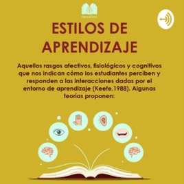 Estilos De Aprendizajes