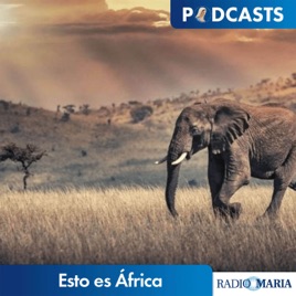 Esto es África