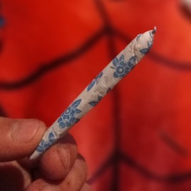 Un Grifo Contando Su Trip