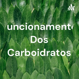 Funcionamento Dos Carboidratos