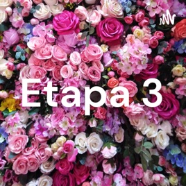 Etapa 3