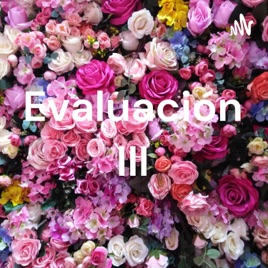 Evaluación III