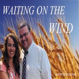 Waiting on the wind