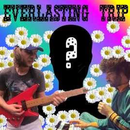Everlasting Trip