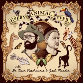 Every Animal Ever