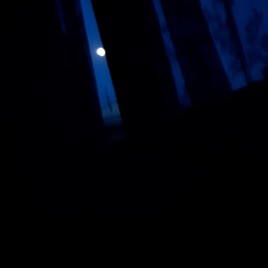 Every night