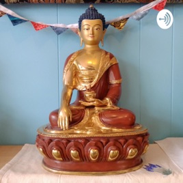 Everyday Buddhism!