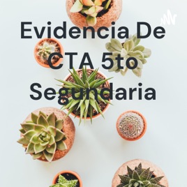 Evidencia De CTA 5to Segundaria