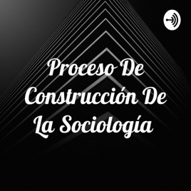 Proceso De Construcción De La Sociología