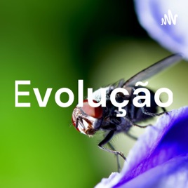 Evolução