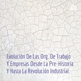 Evolución De Las Org. De Trabajo Y Empresas Desde La Pre-Historia Y Hasta La Revolución Industrial.
