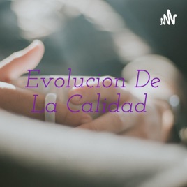 Evolucion De La Calidad