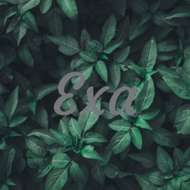 Exa
