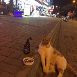 Giz'in günlüğü
