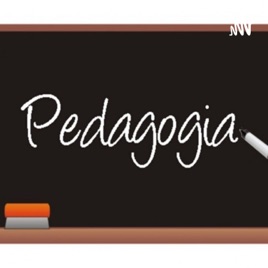 Experiencia Del Primer Módulo
