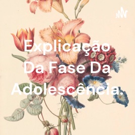 Explicação Da Fase Da Adolescência.