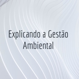 Explicando a Gestão Ambiental