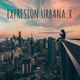 EXPRESION URBANA.X