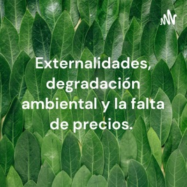 Externalidades, degradación ambiental y la falta de precios.