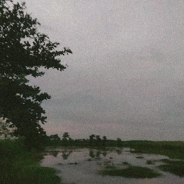 Fajira Saputri_kelompok 58_POTAMAN