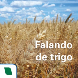 Falando de trigo