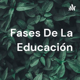 Fases De La Educación