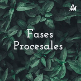 Fases Procesales