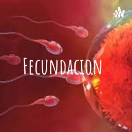Fecundacion