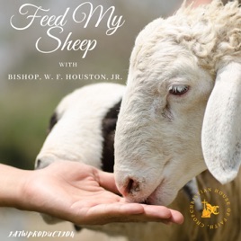 Feed My Sheep