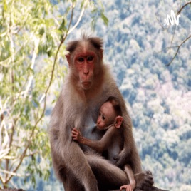 Feeding in mammals Processes