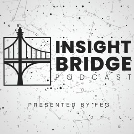 FEG Insight Bridge