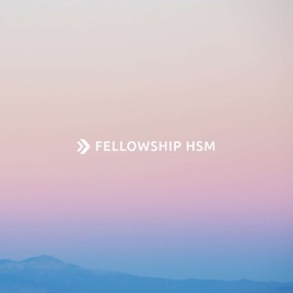 Fellowship HSM