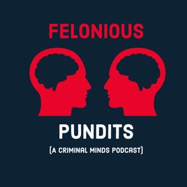 Felonious Pundits