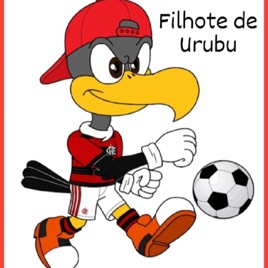 Filhote de Urubu
